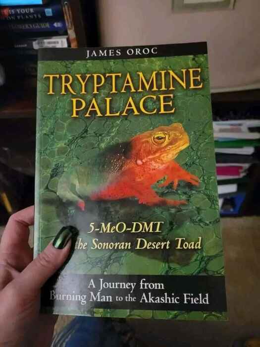 31da29b1-d5b3-4ac4-be1f-9535b53386f0